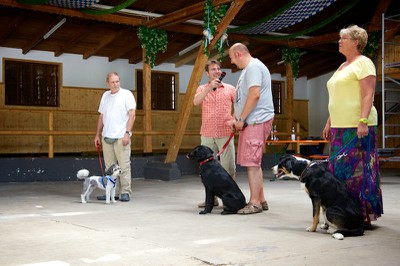 Hundeausstellung Ebersberg