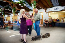 Hundeausstellung Ebersberg