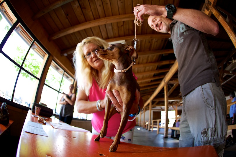 Hundeausstellung Ebersberg 2014