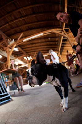 Hundeausstellung Ebersberg 2015