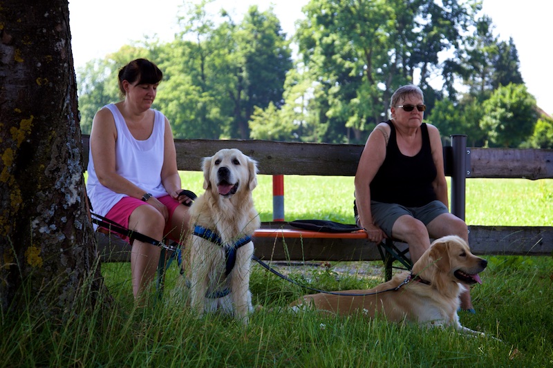 Hundeausstellung Ebersberg 2015