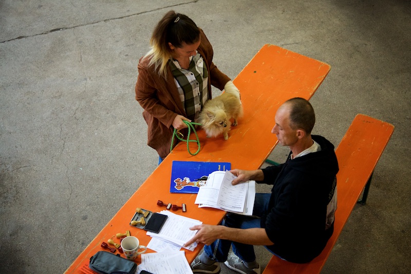 Hundeausstellung Ebersberg 2016