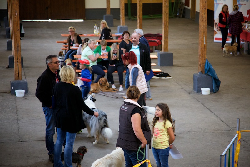 Hundeausstellung Ebersberg 2016