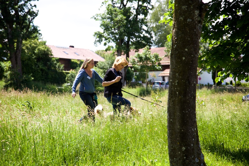 Hundeausstellung Ebersberg 2016