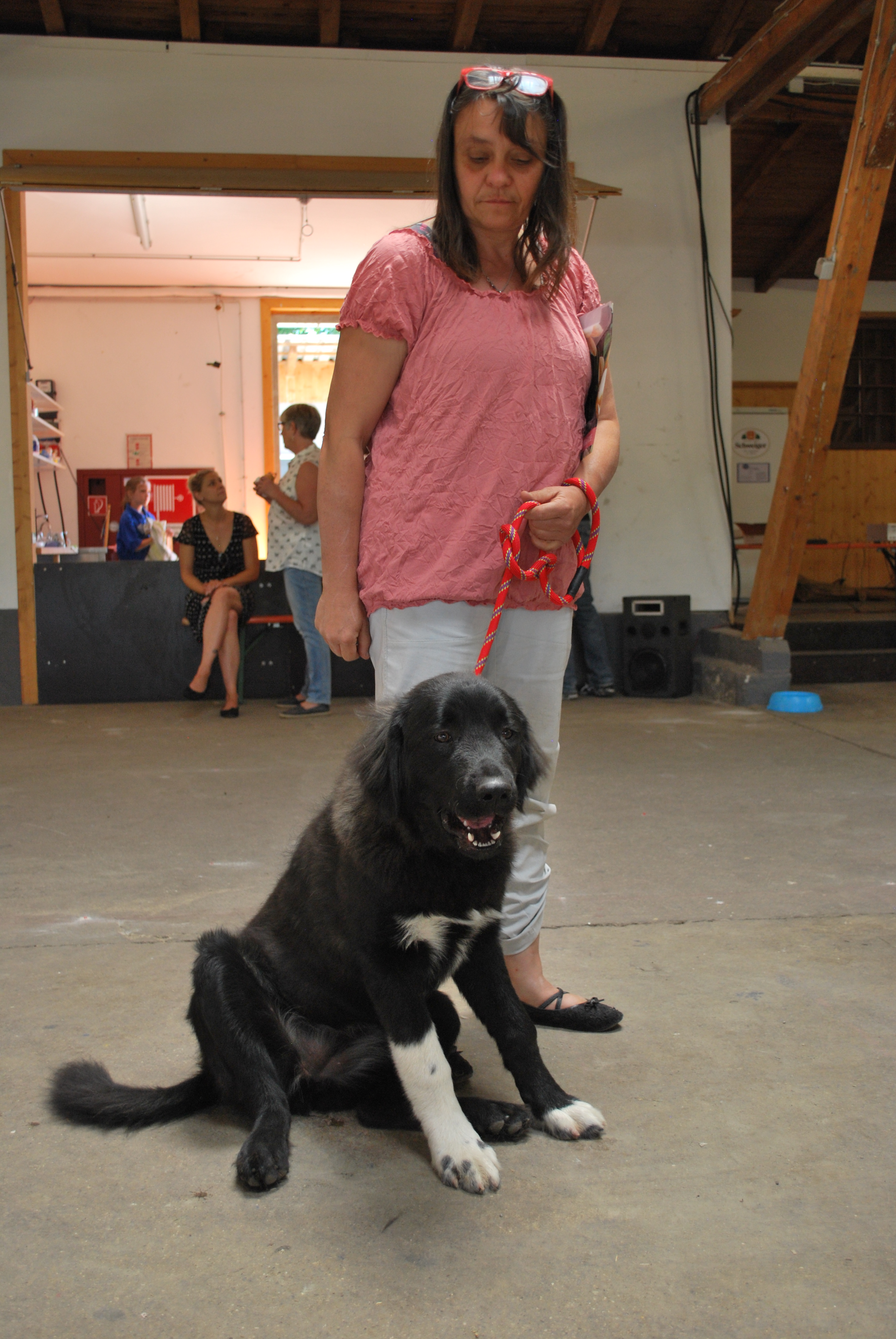 Hundeausstellung 2018