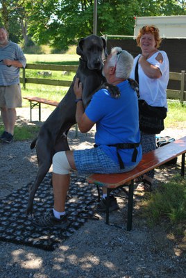 Hundeausstellung 2018