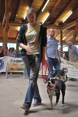 Hundeausstellung 2018