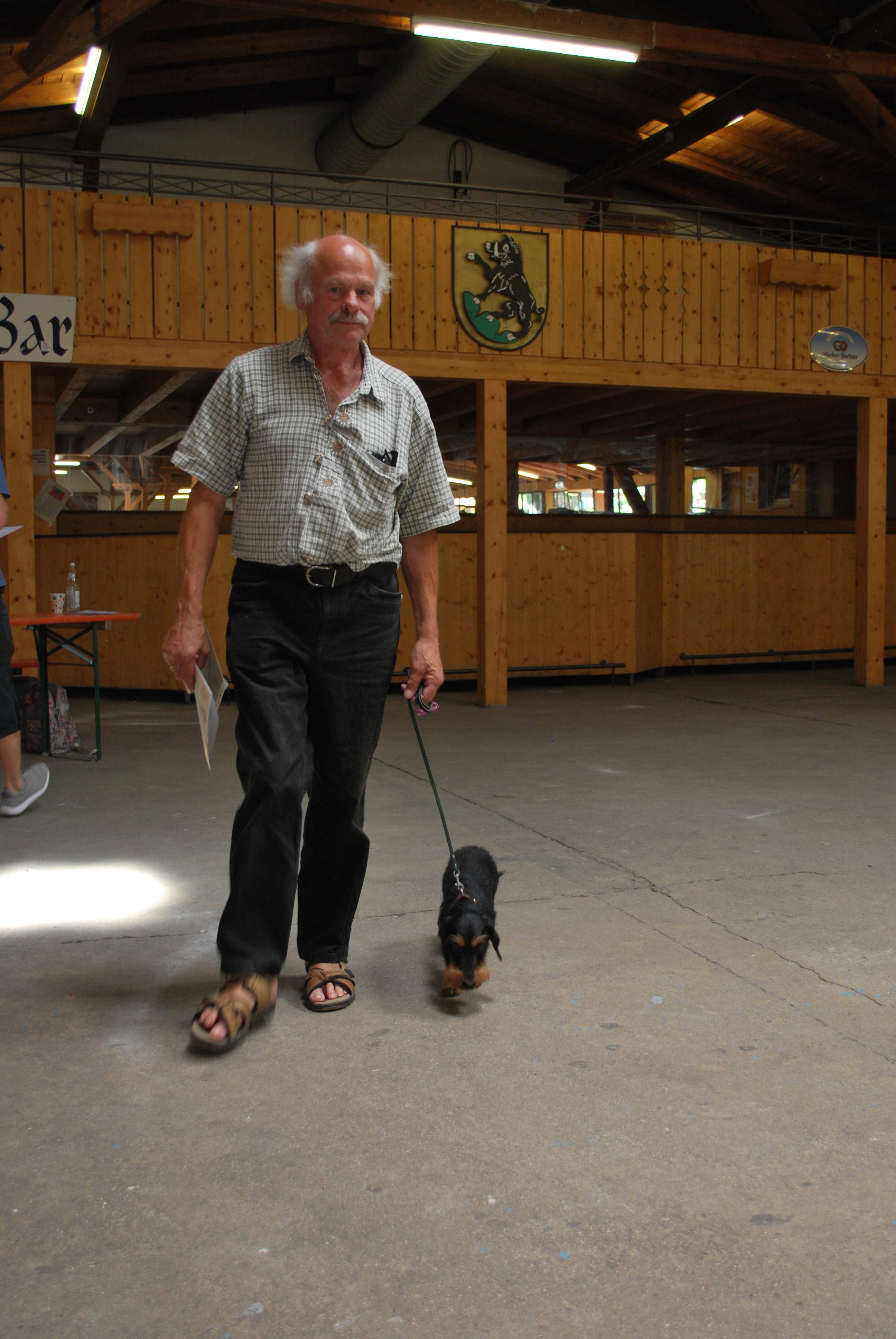 Hundeausstellung 2018