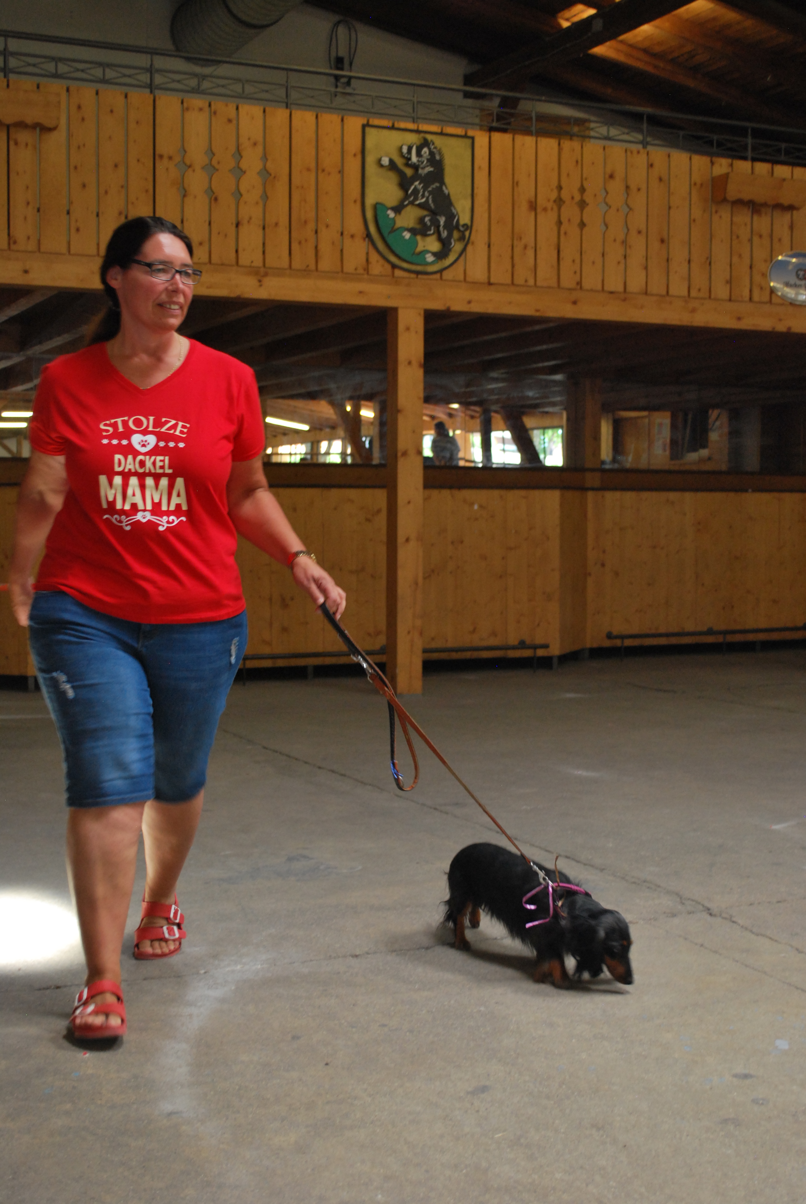 Hundeausstellung 2018