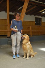 Hundeausstellung 2018