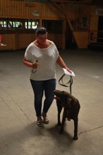 Hundeausstellung 2018