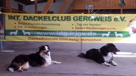 Hundeausstellung 2018