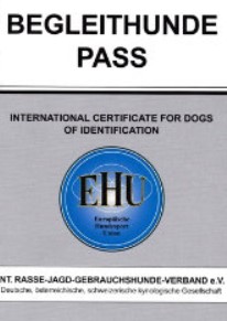 Anmeldung Begleithundeprüfung 2026