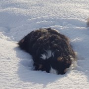 Winterpause ab 21.12.2025 - Beginn 13.01.2026